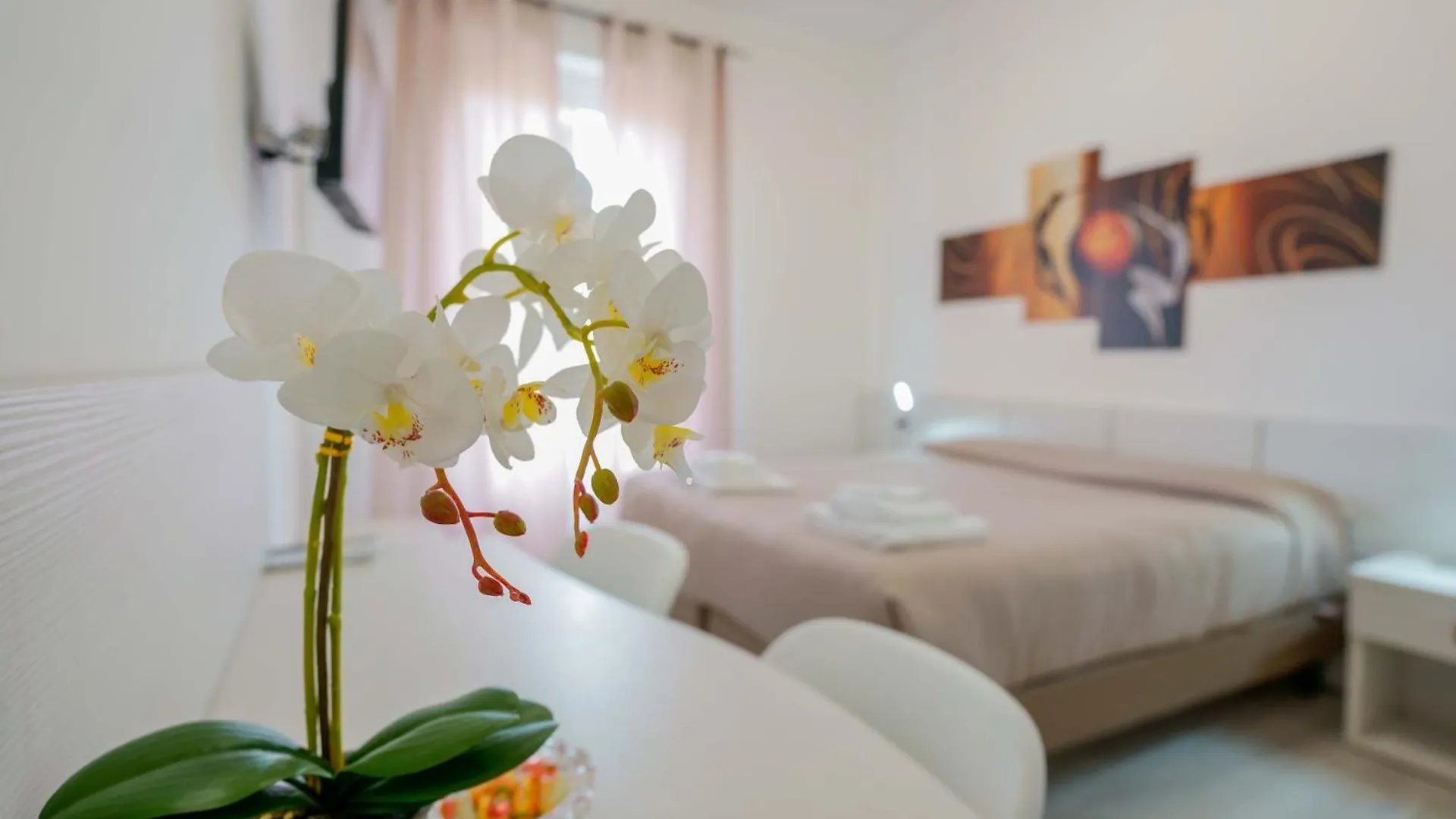 *** Guest house Nue Rooms Cagliari Italy